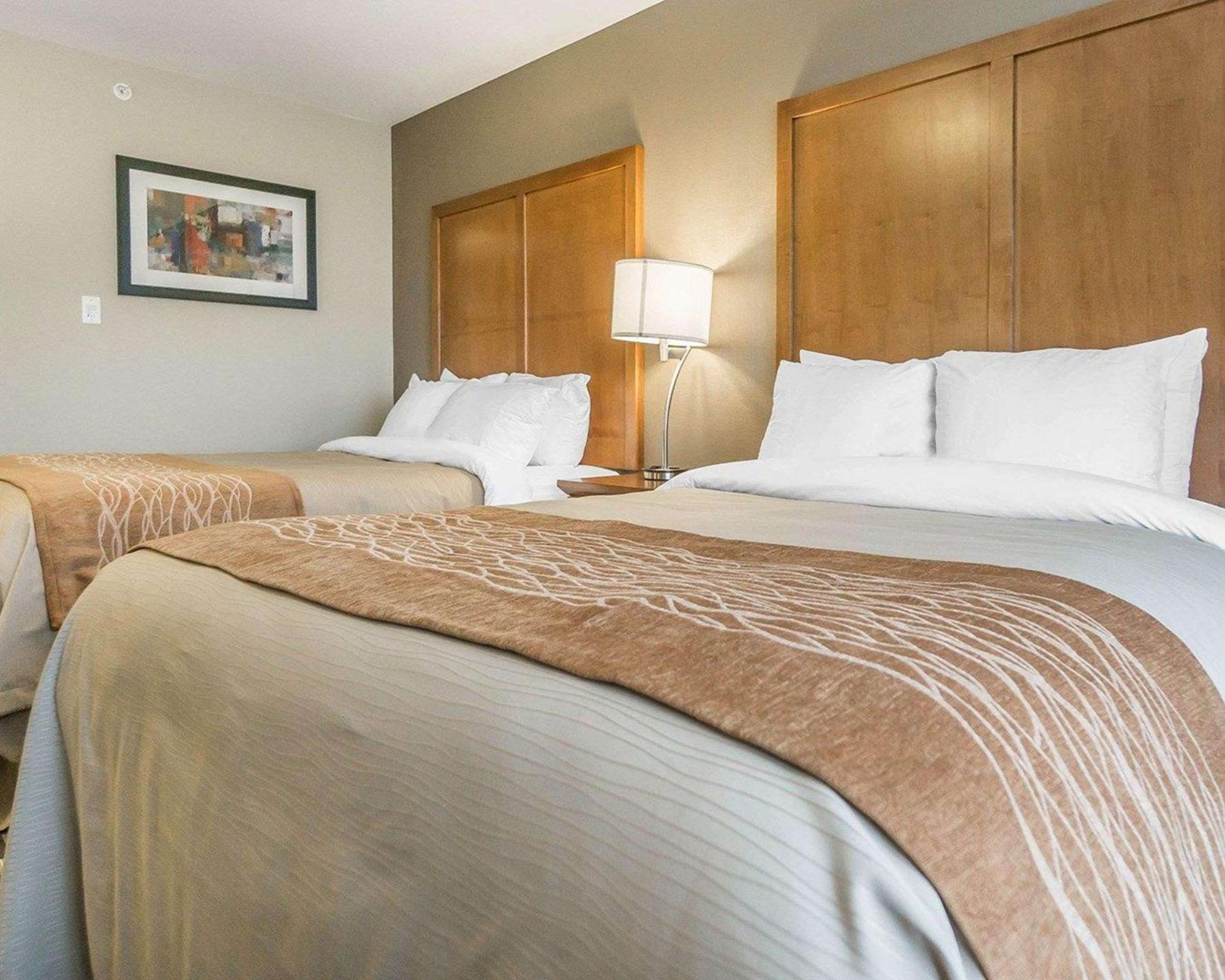 Comfort Inn & Suites Edmonton International Airport Nisku Εξωτερικό φωτογραφία